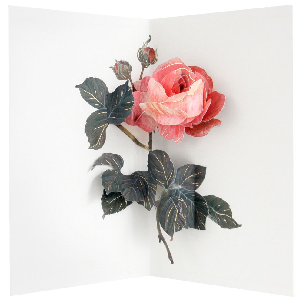 [UP-C-AA-100] 3D Pop-up Card-Rose
