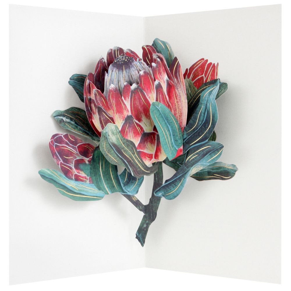 [UP-C-AA-101] 3D Pop-up Card-Protea