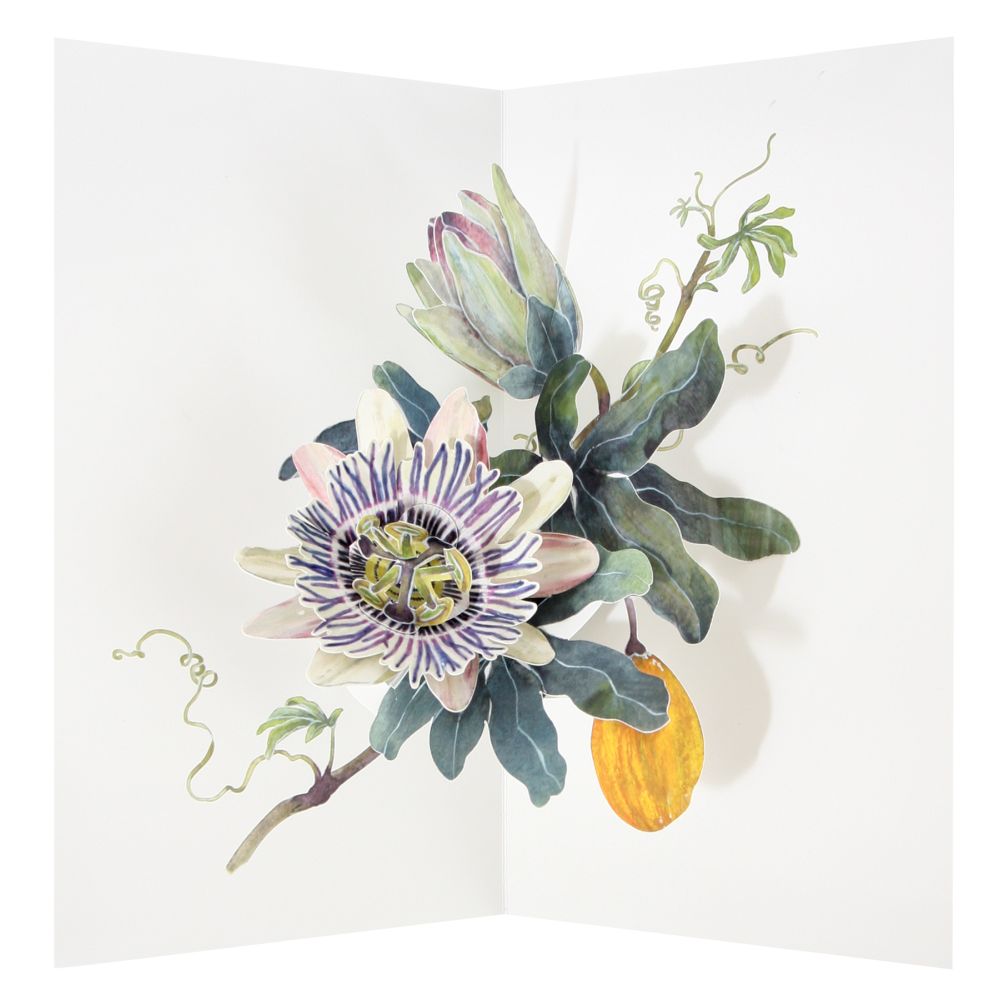 [UP-C-AA-107] 3D Pop-up Card-Passion Vine