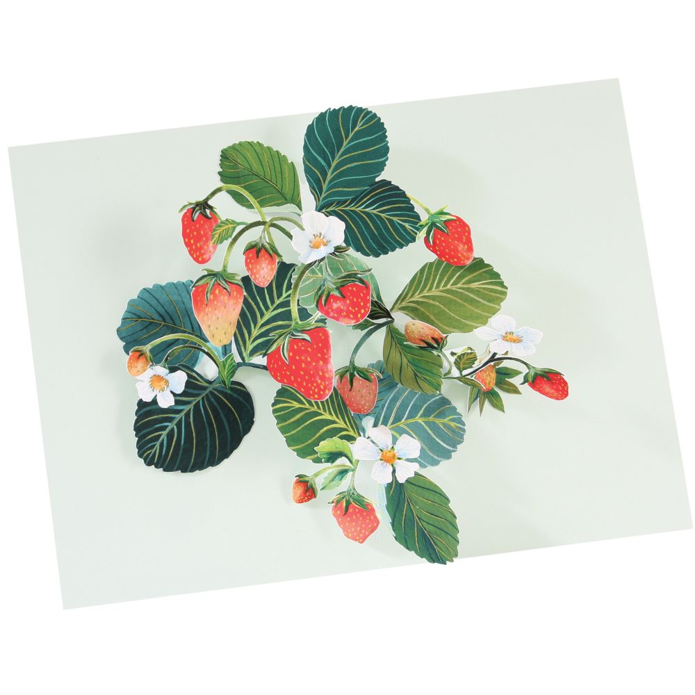 [UP-C-APA-107] 3D Pop-up Card-Strawberries