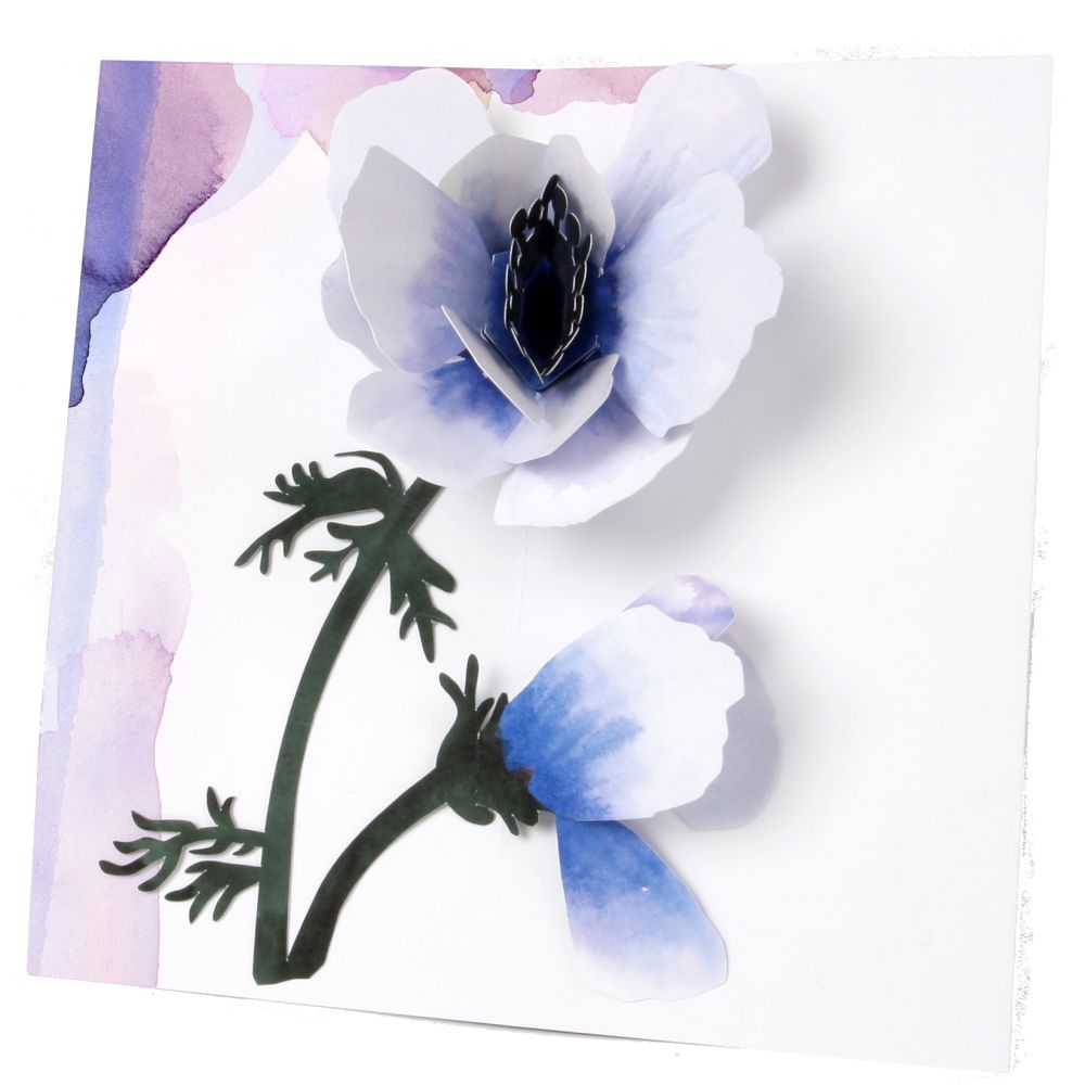 [UP-C-APB-039] 3D Pop-up Card-Anemone Flower