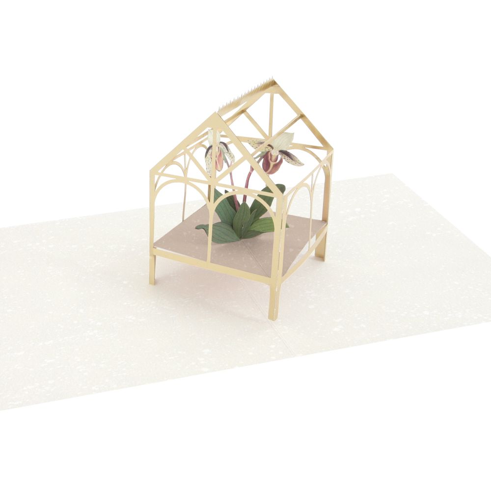 [UP-C-APC-084] 3D Pop-up Card-Orchid