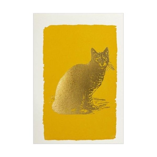 [AV-MC-AP348] Mini Card-Cat