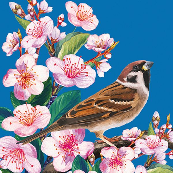 [GB-C-BOT110001] Embossed Card-Bird and Blossoms