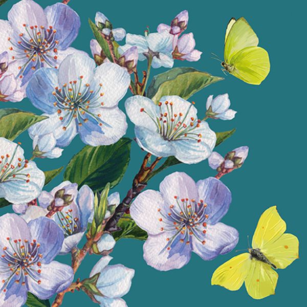 [GB-C-BOT110002] Embossed Card-Butterflies and Blossom