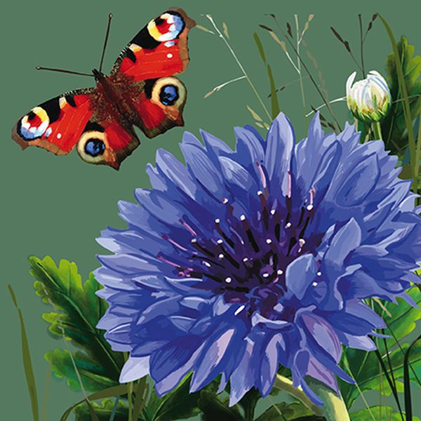 [GB-C-BOT110004] Embossed Card-Agapanthus