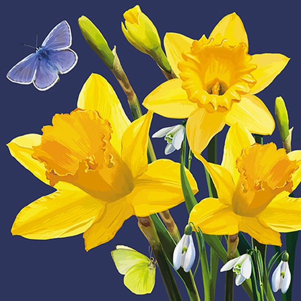 [GB-C-BOT110006] Embossed Card-Daffodil