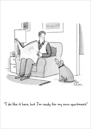 [NY-C-B091] Card-My Own Apartment