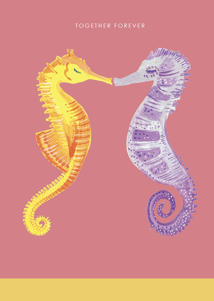 [HC-C-271] Card-Seahorses