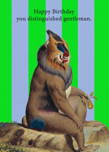 [OD-C-NHM12240] Card-Distinguished Gentleman