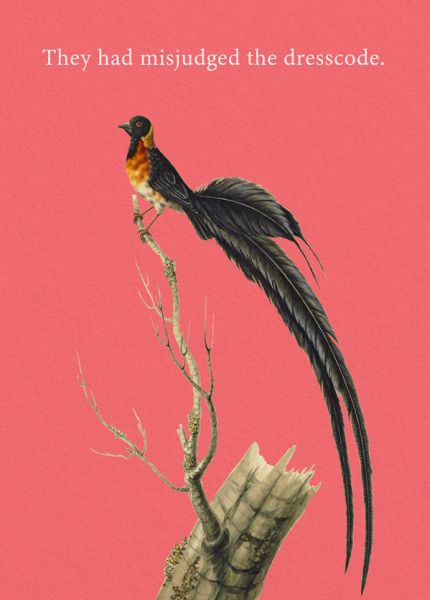 [OD-C-NHM12241] Card-Misjudged Dress Code