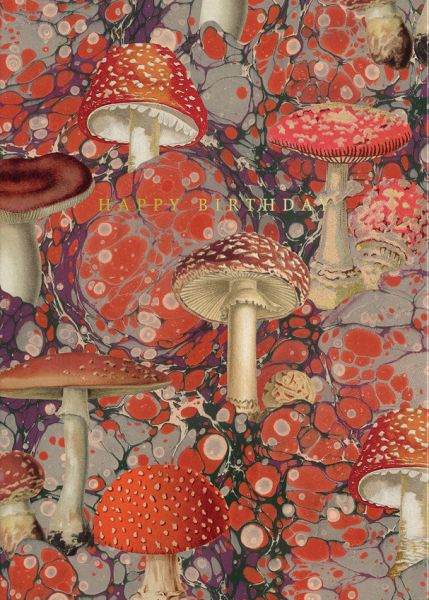 [OD-C-MK12051] Foil Card-Fungi
