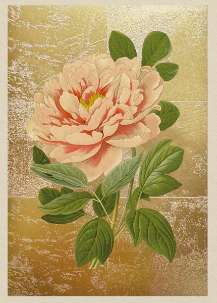 [OD-C-NW11996] Foil Card-Tree Peony