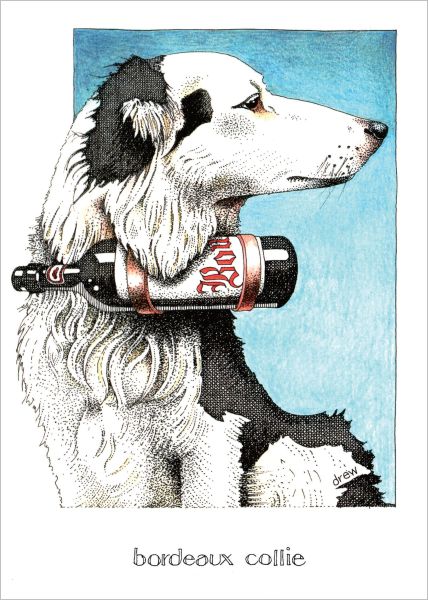 [SI-C-009] Card-Bordeaux Collie