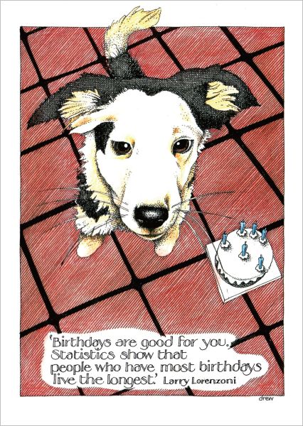 [SI-C-016] Card-Statistics