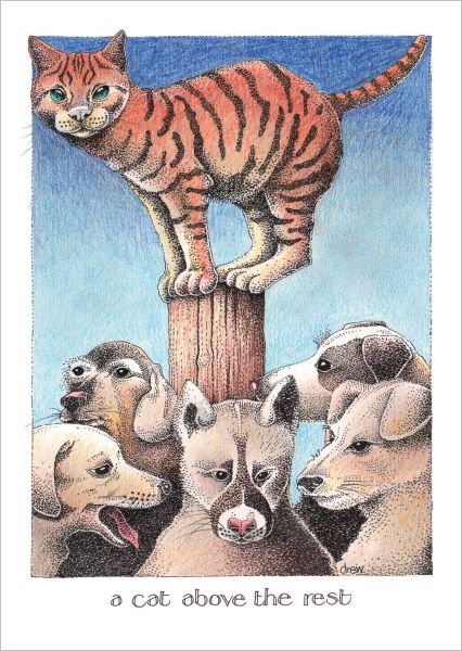 [SI-C-033] Card-Cat Above The Rest