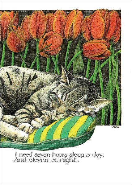 [SI-C-051] Card-Sleep