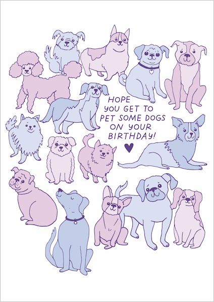 [GT-C-BD468] Card-Pet Some Dogs