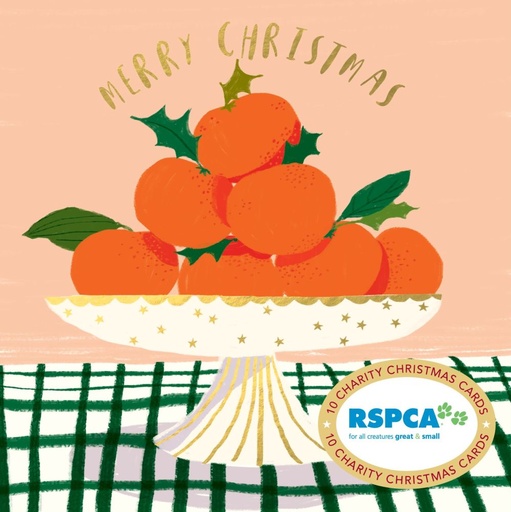 [VE-XCP26002] Christmas Card Wallet-RSPCA-Bowl of Delights