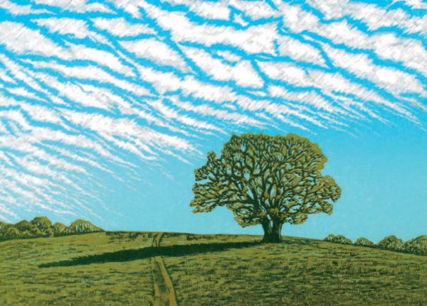 [CD-C-WPA074-1] Card-Mackerel Sky
