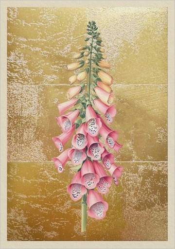 [OD-C-NW13324] Foil Card-Foxglove