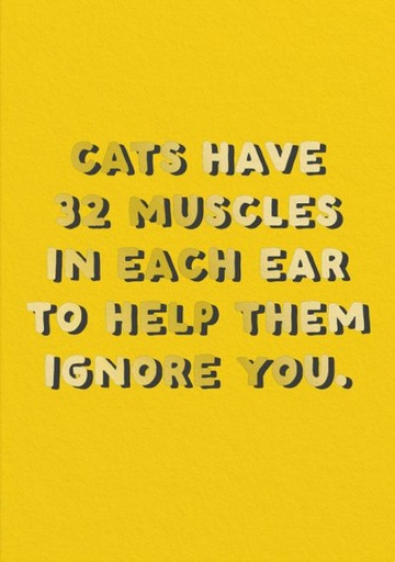 [OD-C-ODT11268] Foil Card-Cats Have Muscles