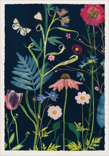 [OD-C-JWB13448] Foil Card-Fern and Echinacea
