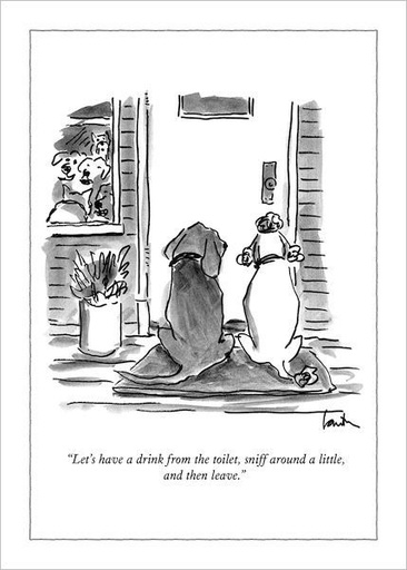 [NY-C-A412] Card-Drink, Sniff And Leave
