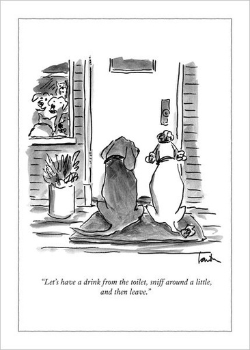 [NY-C-A412] Card-Drink, Sniff And Leave