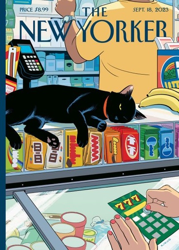 [NY-C-C176] Card-Bodega Cat