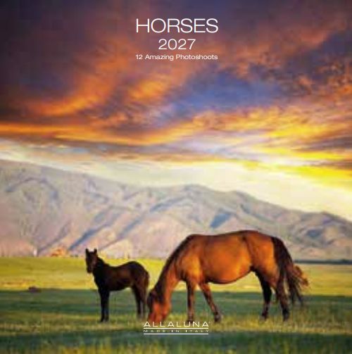 [F-AL-D27-CAL234] Allaluna 18x18 Cal-Horses