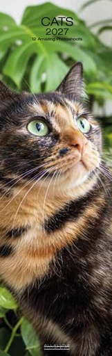 [D-AL-D27-CAL267] Allaluna 16x49 Cal-Cats