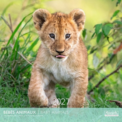 [E-AQ-D27-CAL25385] Aquarupella 30x30 Cal-Baby Animals