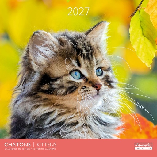 [E-AQ-D27-CAL25389] Aquarupella 30x30 Cal-Kittens