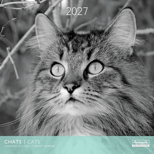 [E-AQ-D27-CAL25391] Aquarupella 30x30 Cal-Cats Black & White