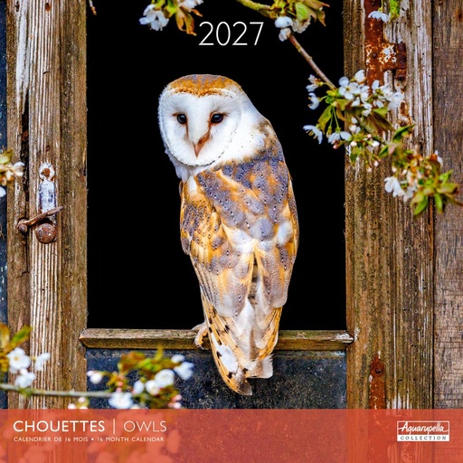 [E-AQ-D27-CAL25394] Aquarupella 30x30 Cal-Owls