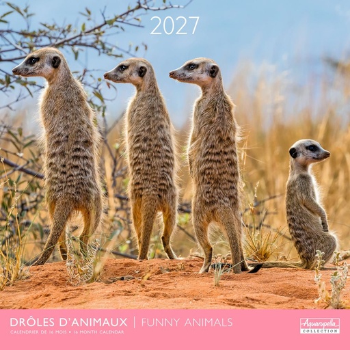 [E-AQ-D27-CAL25399] Aquarupella 30x30 Cal-Funny animals