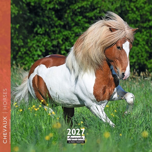 [F-AQ-D27-CAL25449] Aquarupella 16x16 Cal-Horses