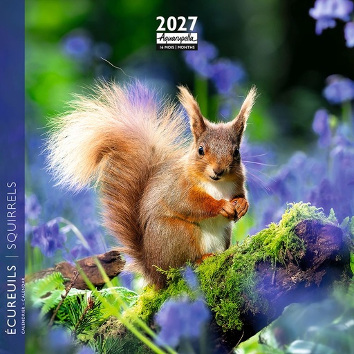 [F-AQ-D27-CAL25454] Aquarupella 16x16 Cal-Squirrels