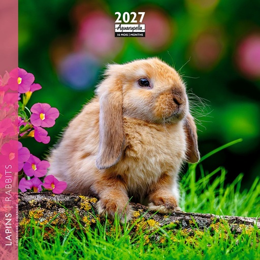 [F-AQ-D27-CAL25459] Aquarupella 16x16 Cal-Rabbits